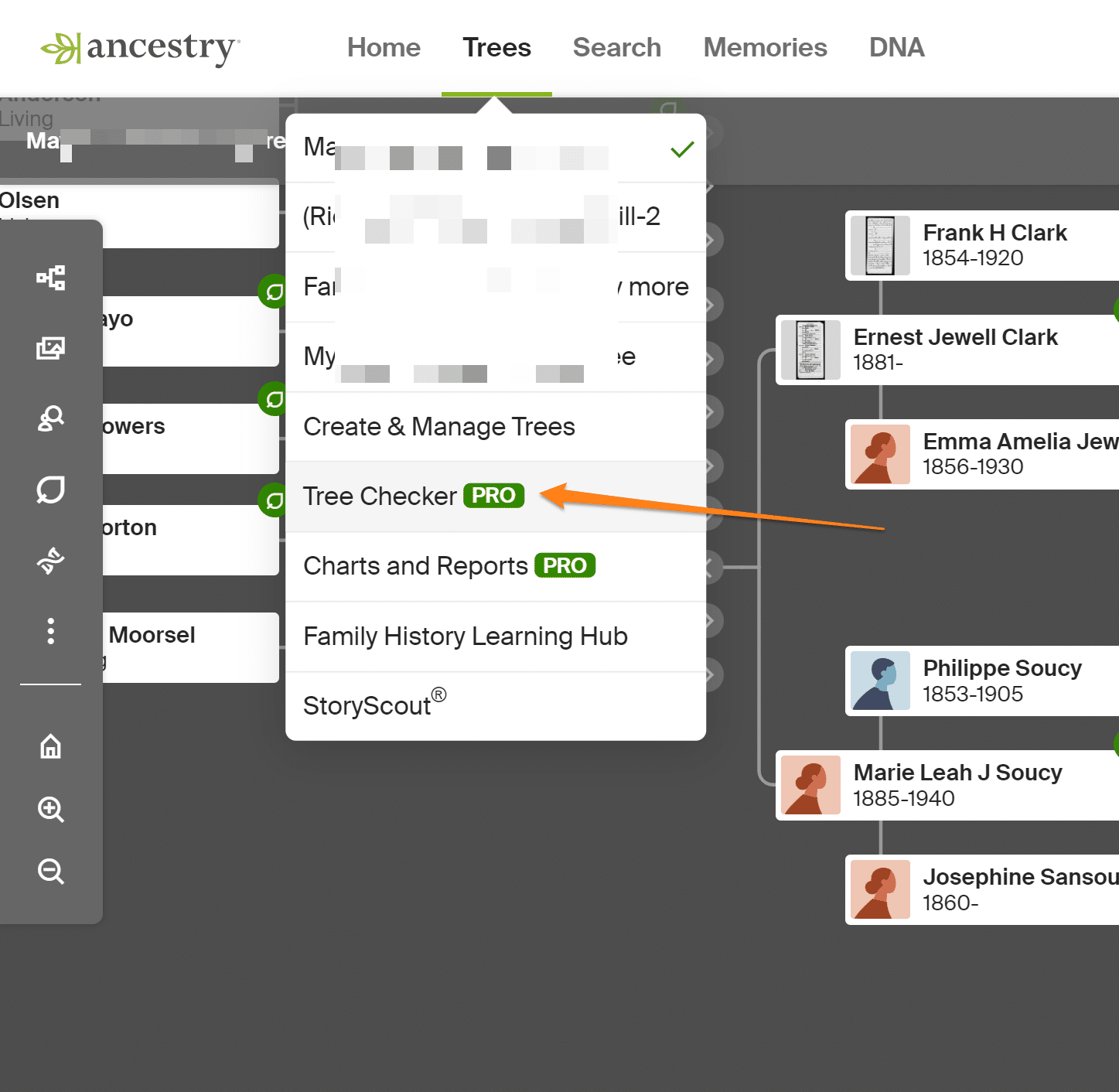 Error Report in Ancestry Drop Down Menu