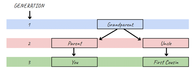 First cousin chart