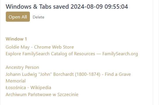 This screen shot shows the saved list of tabs under the Windows and Tabs menu.