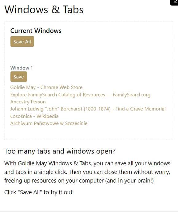 This screen shot shows a list of tabs with the title Window 1 and a Save button heading the list.