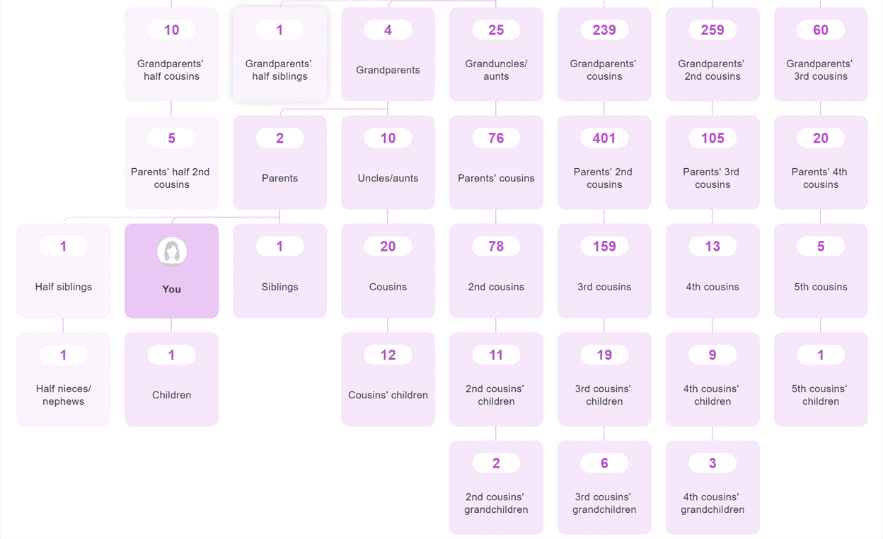 MyHeritage relationship chart